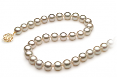 7.5-8mm AA Quality Japanese Akoya Cultured Pearl Necklace in White