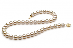 8-8.5mm AAAA Quality Freshwater Cultured Pearl Necklace in White