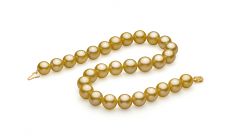 14-15.7mm AAA+ Quality South Sea Cultured Pearl Necklace in Gold