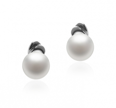 5-6mm AAA Quality Freshwater Cultured Pearl Earring Pair in Aria White