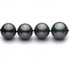 11-13.5mm AA+ Quality Tahitian Cultured Pearl Necklace in Black