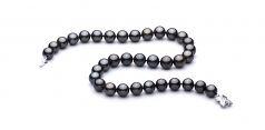 11.1-11.9mm AAA Quality Tahitian Cultured Pearl Necklace in Black