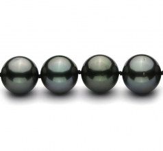 11.1-13.8mm AAA Quality Tahitian Cultured Pearl Necklace in Black