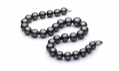 13.1-16mm AAA+ Quality Tahitian Cultured Pearl Necklace in Black