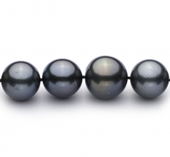 13.1-16mm AAA+ Quality Tahitian Cultured Pearl Necklace in Black