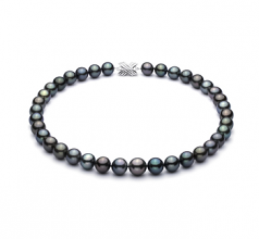 11.1-14.6mm AA+ Quality Tahitian Cultured Pearl Necklace in Multicolour