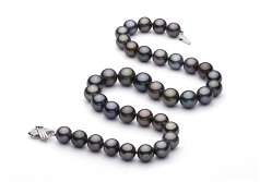 11.1-13.5mm AA+ Quality Tahitian Cultured Pearl Necklace in Multicolour