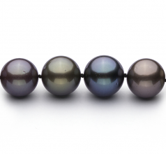 11.1-13.5mm AA+ Quality Tahitian Cultured Pearl Necklace in Multicolour