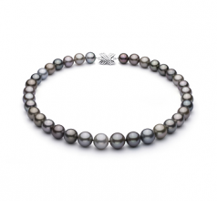 11-14.6mm AAA Quality Tahitian Cultured Pearl Necklace in Multicolour