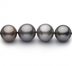 9.2-13.9mm AA+ Quality Tahitian Cultured Pearl Necklace in Multicolour