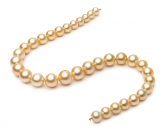 10.1-14.6mm AA Quality South Sea Cultured Pearl Necklace in 18-inch Gold