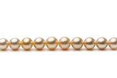 9.3-13.3mm AA Quality South Sea Cultured Pearl Necklace in 18-inch Gold