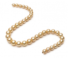 9.5-11.9mm AA Quality South Sea Cultured Pearl Necklace in 18-inch Gold