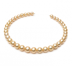 9.7-13.9mm AA Quality South Sea Cultured Pearl Necklace in 18-inch Gold