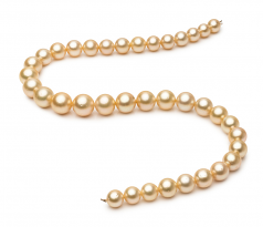 9.7-13.9mm AA Quality South Sea Cultured Pearl Necklace in 18-inch Gold