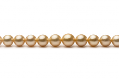 9.7-13.9mm AA Quality South Sea Cultured Pearl Necklace in 18-inch Gold