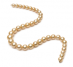 9.2-12.8mm AA Quality South Sea Cultured Pearl Necklace in 18-inch Gold