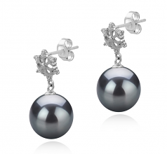 10-11mm AAA Quality Tahitian Cultured Pearl Earring Pair in Snow Black