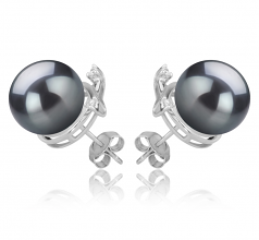 10-11mm AAA Quality Tahitian Cultured Pearl Earring Pair in Berry Black