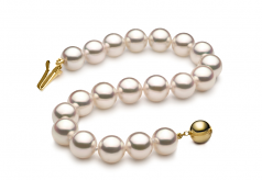 7.5-8mm Hanadama - AAAA Quality Japanese Akoya Cultured Pearl Bracelet in Hanadama 7-inch White