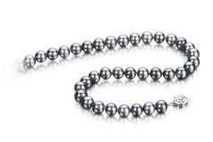 7-7.5mm AAA Quality Japanese Akoya Cultured Pearl Necklace in Black-Silver