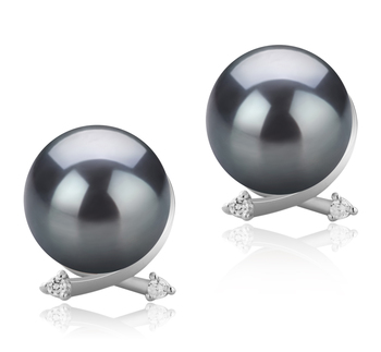 10-11mm AAA Quality Tahitian Cultured Pearl Earring Pair in Berry Black 10-11mm AAA Quality Tahitian Cultured Pearl Earring Pair in Berry Black