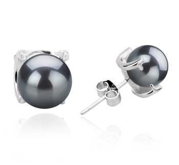 7-8mm AAAA Quality Freshwater Cultured Pearl Earring Pair in Britt Black 7-8mm AAAA Quality Freshwater Cultured Pearl Earring Pair in Britt Black