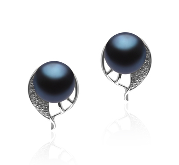 7-8mm AA Quality Freshwater Cultured Pearl Earring Pair in Carina Black 7-8mm AA Quality Freshwater Cultured Pearl Earring Pair in Carina Black
