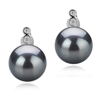 10-11mm AAA Quality Tahitian Cultured Pearl Earring Pair in Hailey Black 10-11mm AAA Quality Tahitian Cultured Pearl Earring Pair in Hailey Black