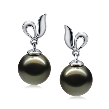 9-10mm AAA Quality Tahitian Cultured Pearl Earring Pair in Jeannie Black 9-10mm AAA Quality Tahitian Cultured Pearl Earring Pair in Jeannie Black
