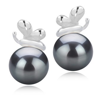 7-8mm AA Quality Japanese Akoya Cultured Pearl Earring Pair in Marsha Black 7-8mm AA Quality Japanese Akoya Cultured Pearl Earring Pair in Marsha Black