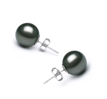 10-11mm AAA Quality Tahitian Cultured Pearl Earring Pair in Black 10-11mm AAA Quality Tahitian Cultured Pearl Earring Pair in Black