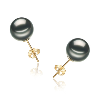 9-10mm AA Quality Tahitian Cultured Pearl Earring Pair in Black 9-10mm AA Quality Tahitian Cultured Pearl Earring Pair in Black
