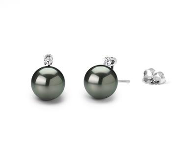 9-10mm AAA Quality Tahitian Cultured Pearl Earring Pair in Black 9-10mm AAA Quality Tahitian Cultured Pearl Earring Pair in Black