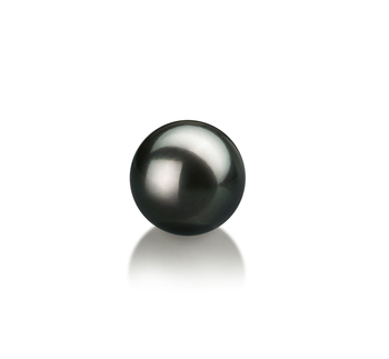 7-8mm AA Quality Japanese Akoya Loose Pearl in Black