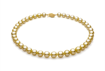 9-11.7mm AAA Quality South Sea Cultured Pearl Necklace in Gold 9-11.7mm AAA Quality South Sea Cultured Pearl Necklace in Gold