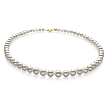5-10mm AAA Quality Freshwater Cultured Pearl Necklace in White 5-10mm AAA Quality Freshwater Cultured Pearl Necklace in White